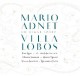 Um olhar sobre Villa-Lobos