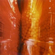 Pimenta malagueta