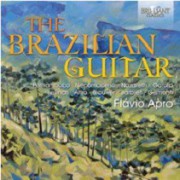 The Brazilian guitar