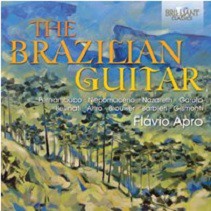 The Brazilian guitar