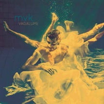 Vagalume