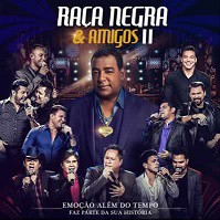 Raça Negra & Amigos II