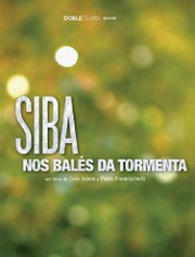 Nos balés da tormenta