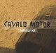 Cavalo motor