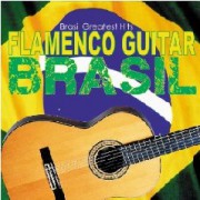 Flamenco guitar Brasil