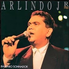 Pássaro sonhador