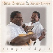 Pingo d'água