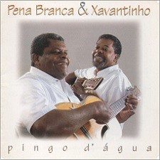 Pingo d'água