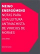 Meigo energúmeno - Notas para uma leitura antimachista de Vinicius de Moraes