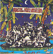 Orquestra de Música Brasileira (Meu amigo Tom Jobim,...)