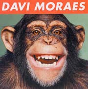 Papo macaco