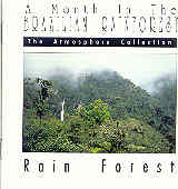A Month in the Brazilian Rainforest: Rain Forest