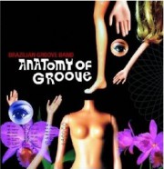 Anatomy of Groove
