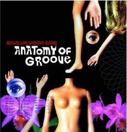 Anatomy of Groove